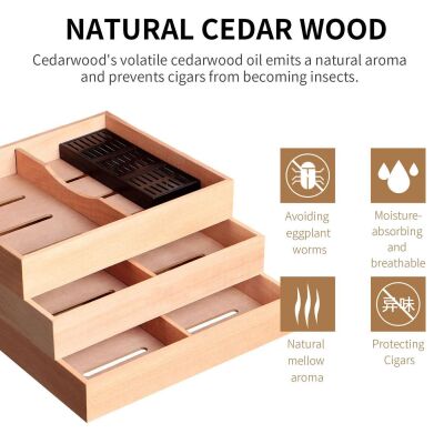 Cigarloong Gastro Camlı 3 Raflı Puro Kutusu Humidor Ceviz 100's - 5