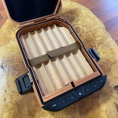 Vaultek Lifepod Seyahat Humidoru Antik Brass - 2